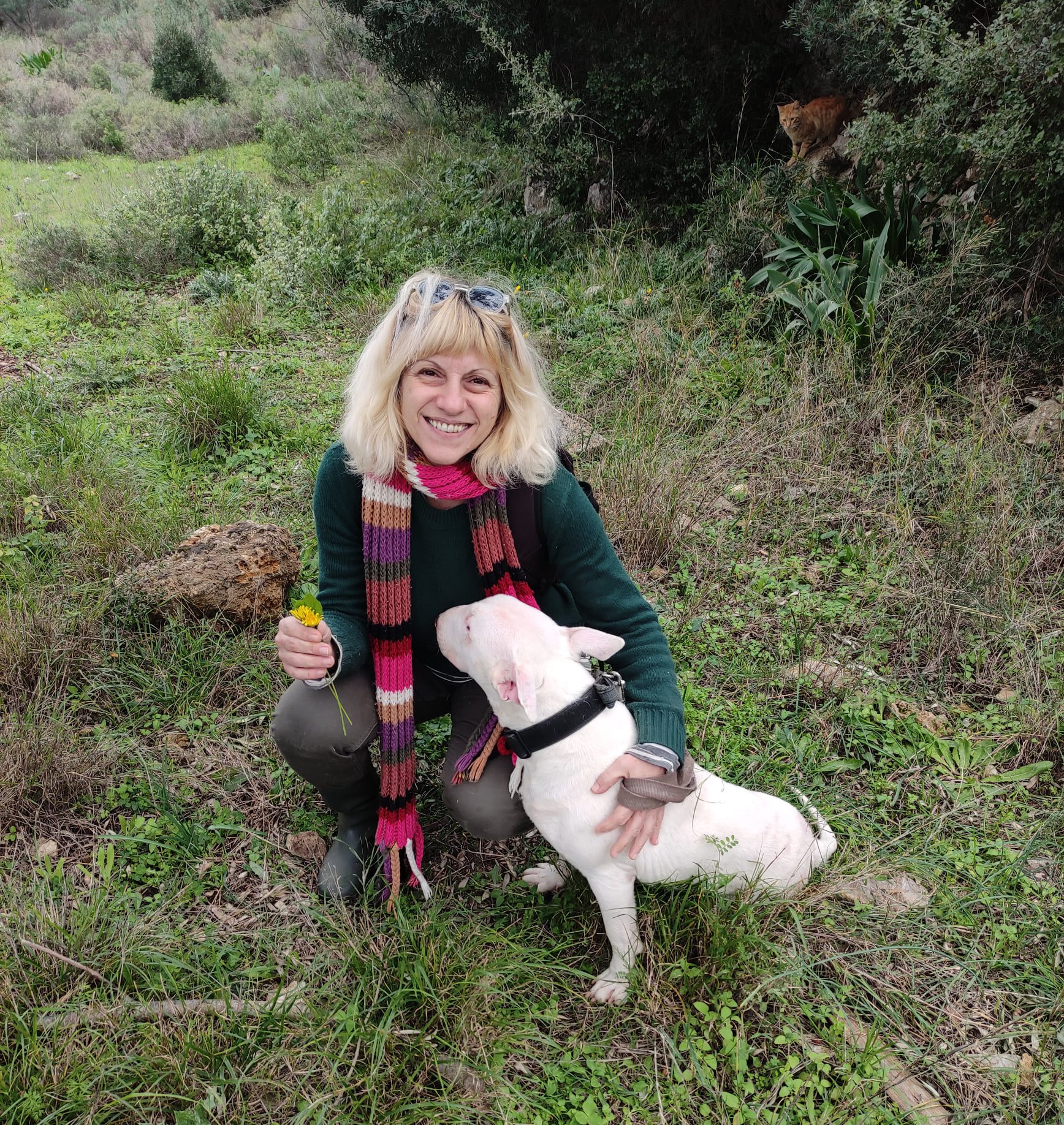 Natural ways to boost your dogs’ health