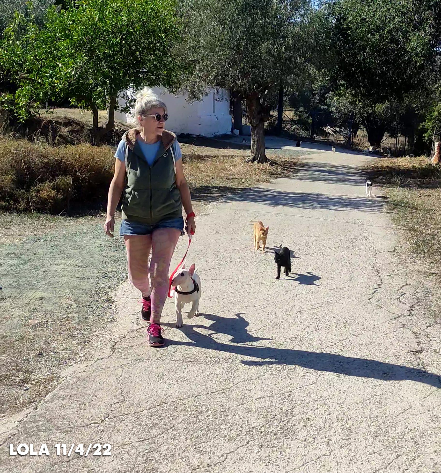 Socialization is the way a dog sees the world