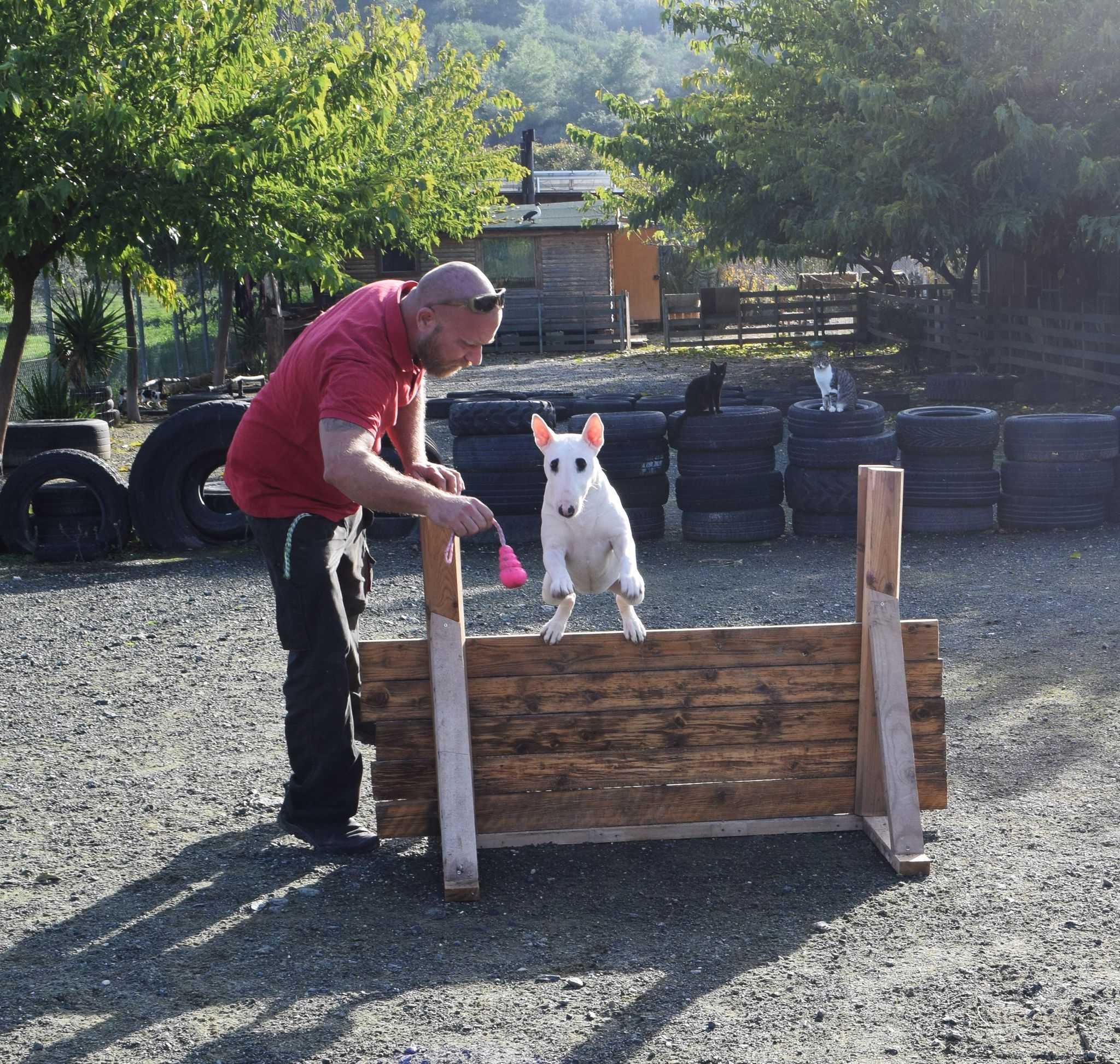 “How do I choose the “best” puppy from a litter?”