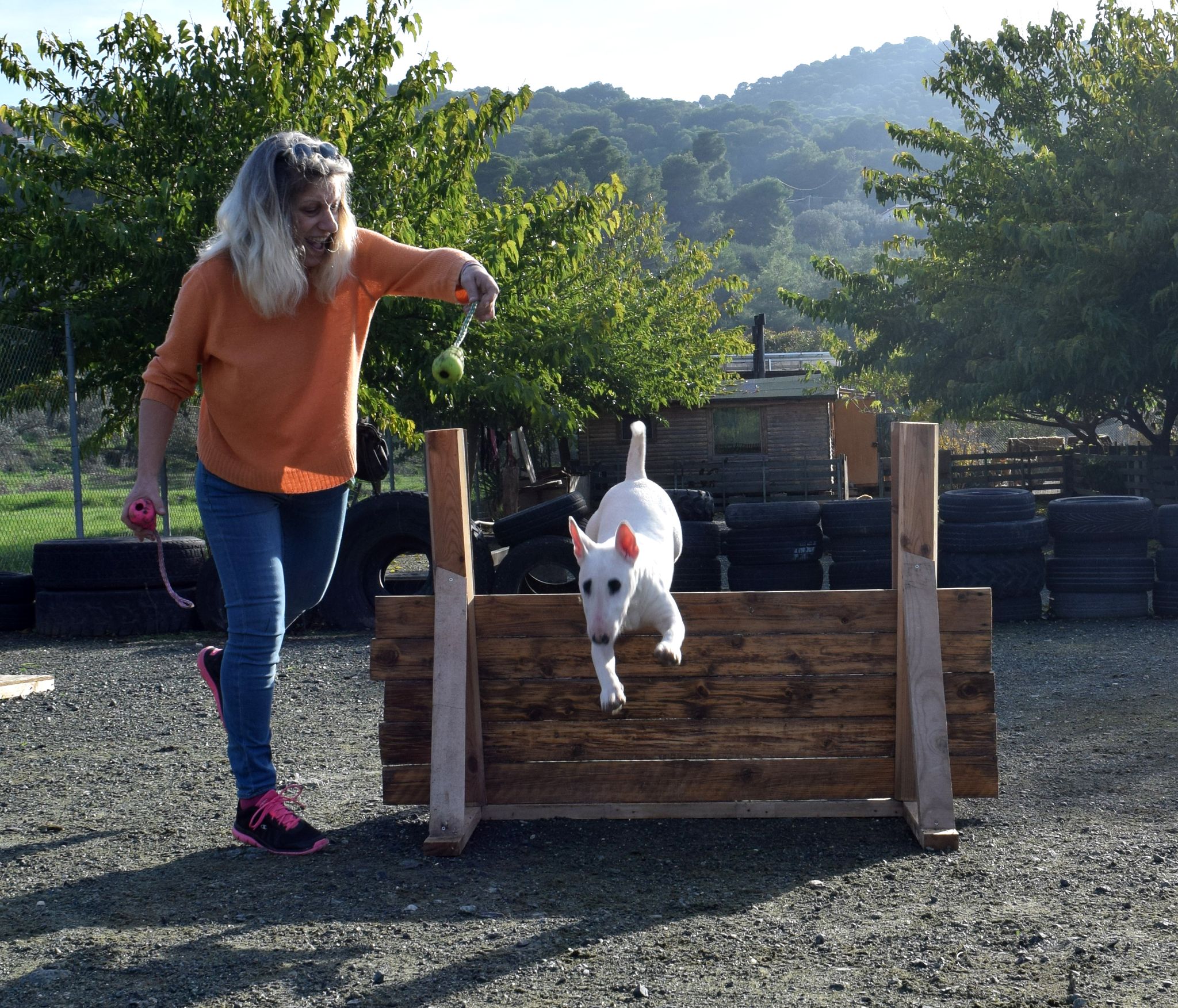 “When is the right time to start training my dog?”