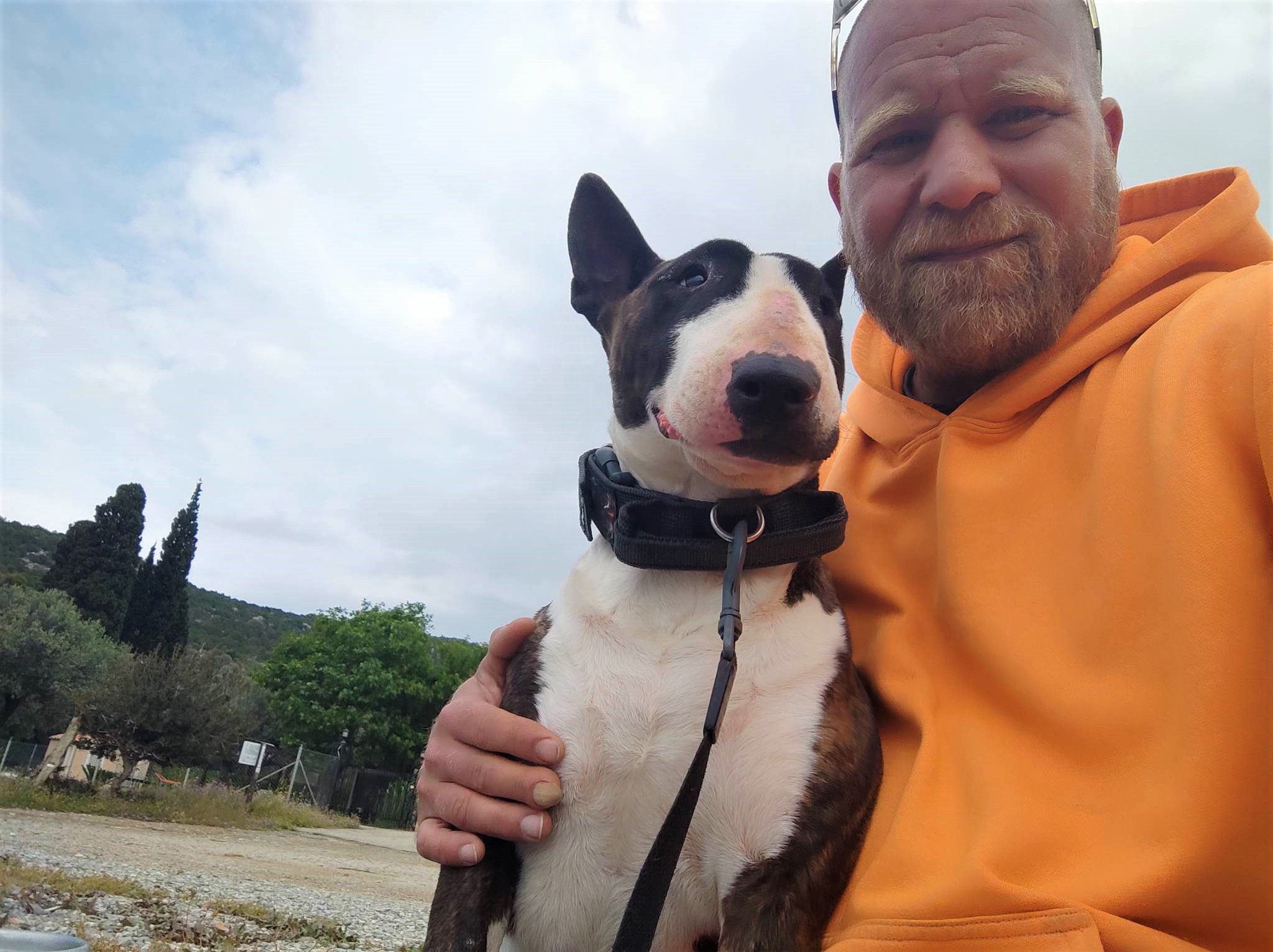 Bull Terrier Confessions #7: “I Heard You. I Just… Didn’t Feel Like It.”