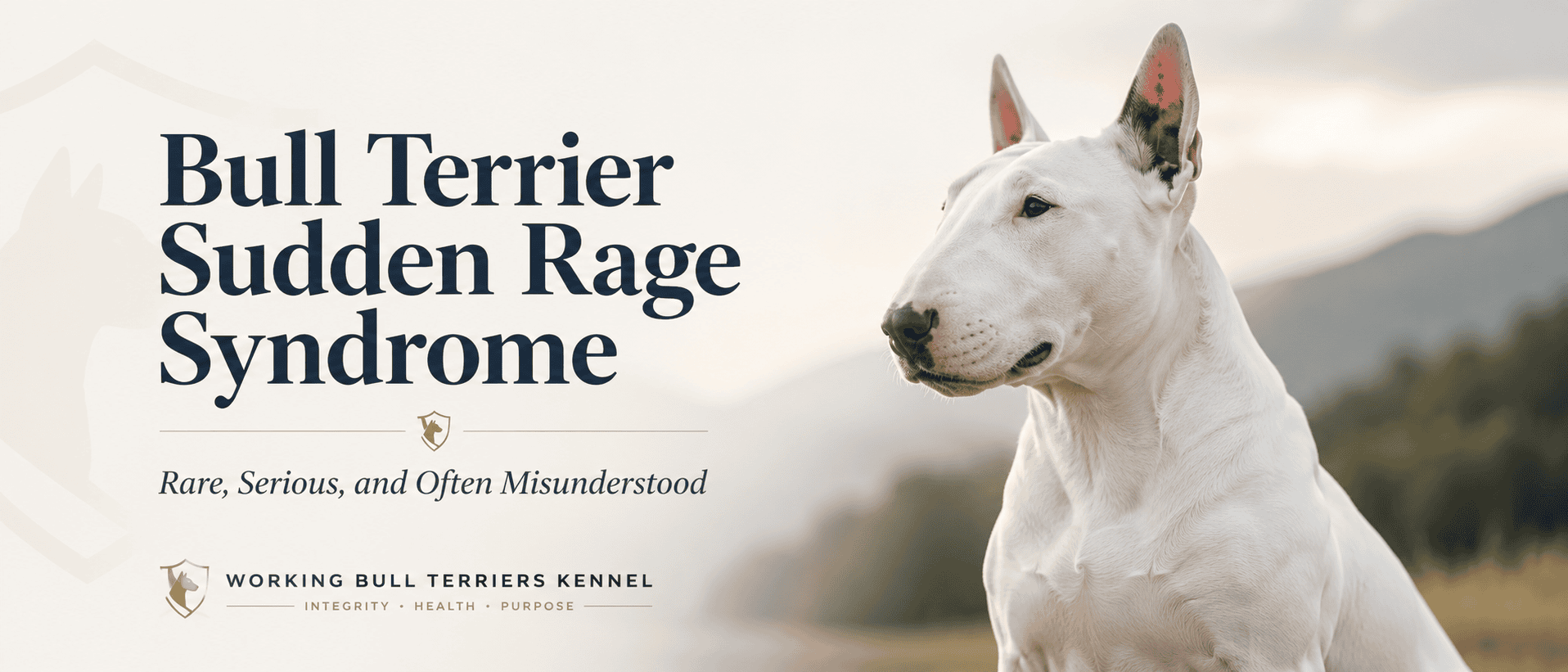 Bull Terrier Sudden Rage Syndrome: Rare, Serious, and Often Misunderstood