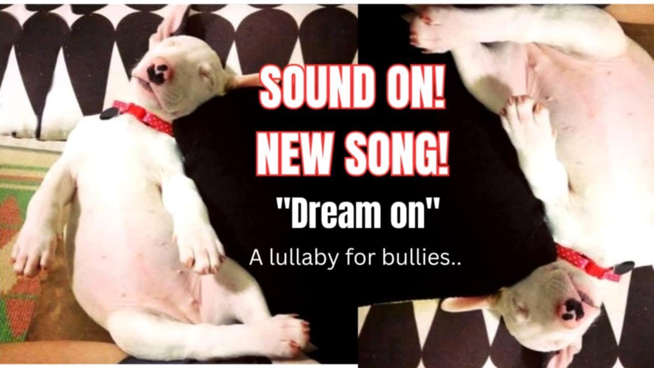 Dream On: A Heartfelt Lullaby for Bull Terriers