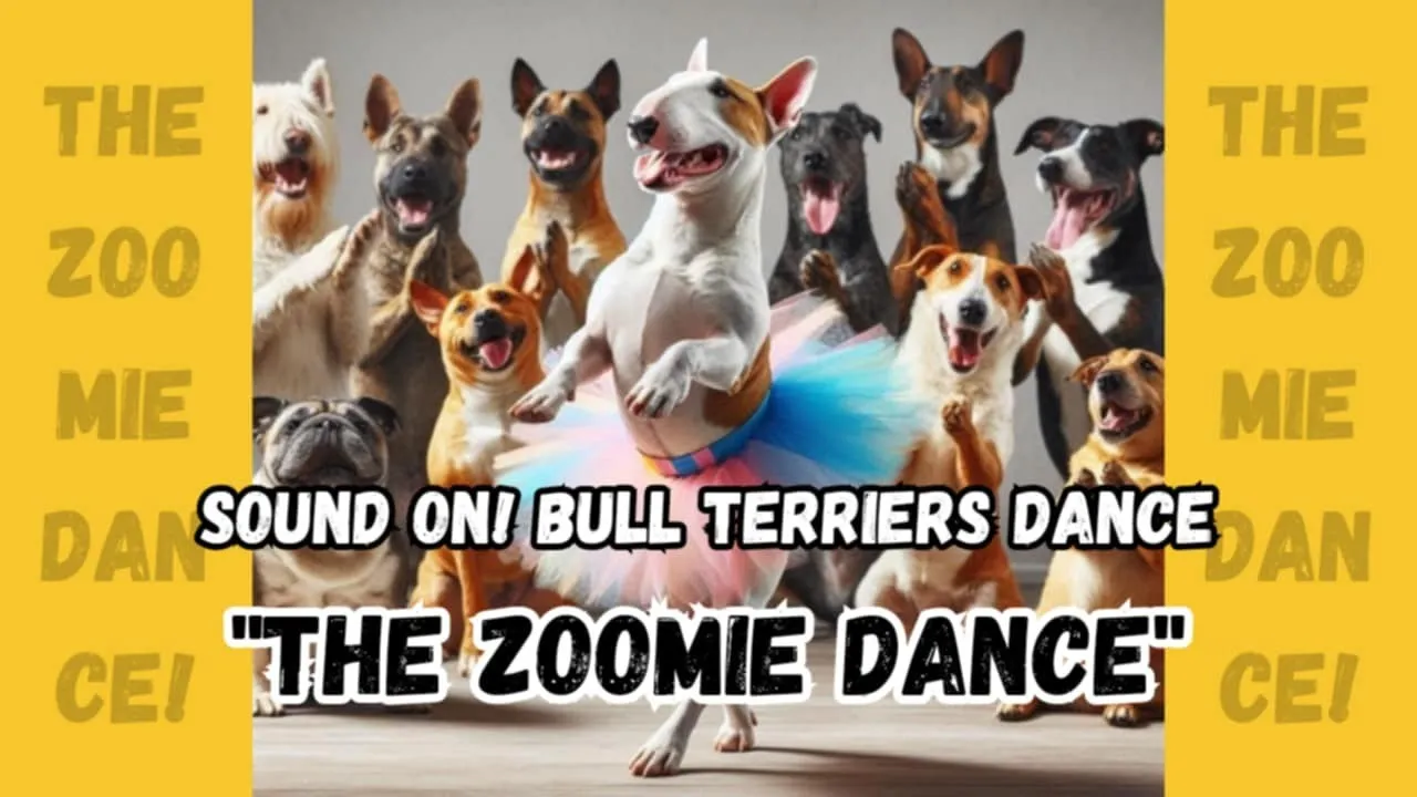 The Zoomie Dance: A Bull Terrier Song That Will Make You Smile!