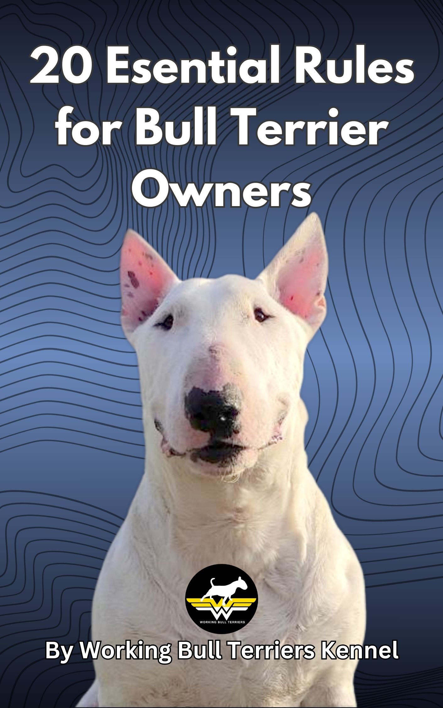 Introducing Our New eBook: 20 Essential Rules for Bull Terrier Owners