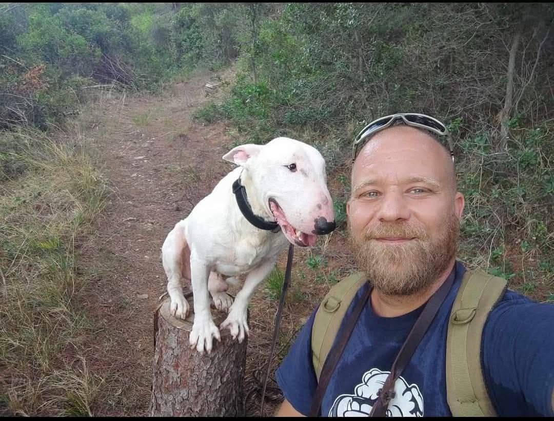 99% of Dogs Have Behavior Problems — Here’s How to Help Your Bull Terrier