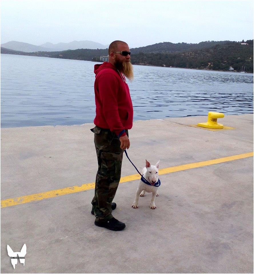 Leash Manners — Calm Walks, Confident Minds