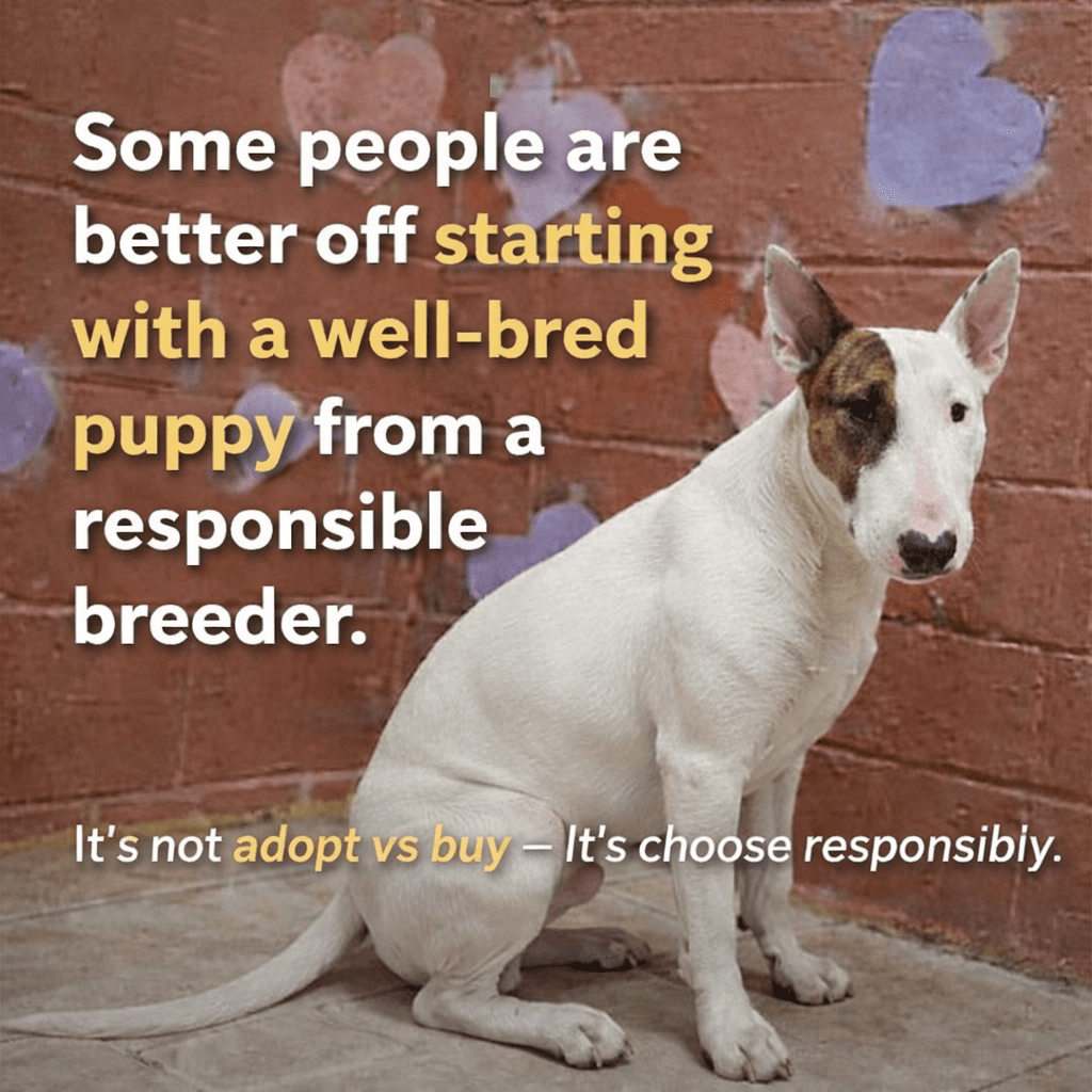 Adoption, Breeding, and Responsibility