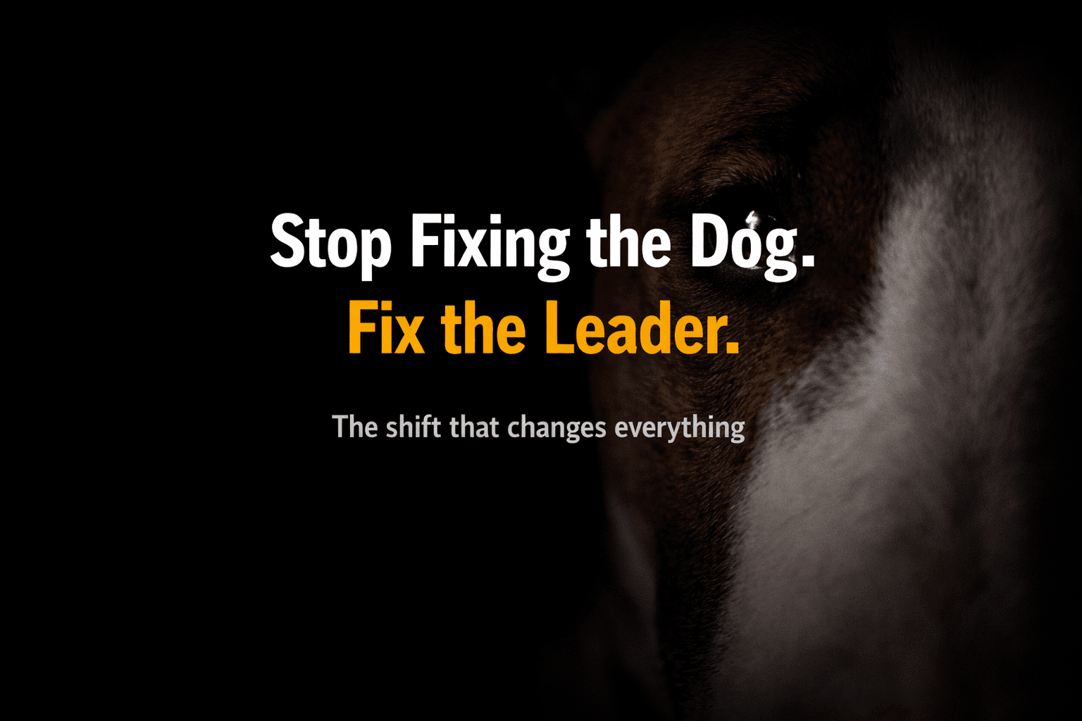 The Leader Mindset: The Shift That Changes Everything in Your Bull Terrier