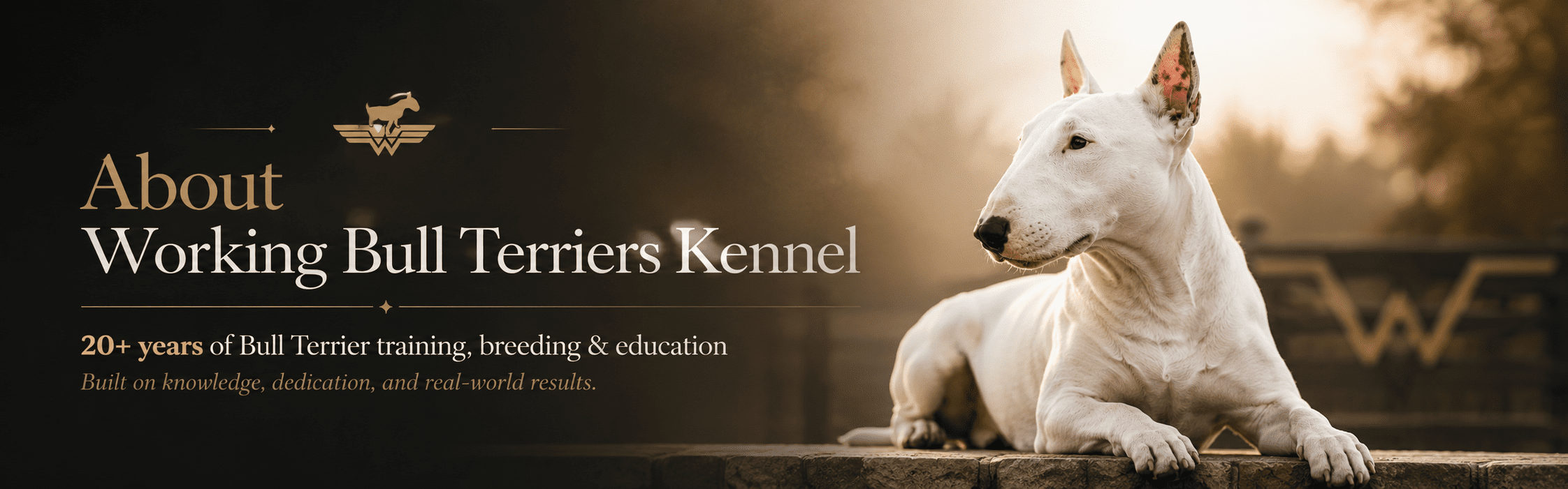 About Us at Working Bull Terriers Kennel with 20 years of Bull Terrier training, breeding, and education experience