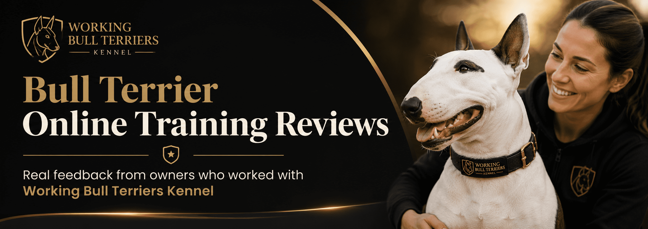 Bull Terrier training reviews from Working Bull Terriers Kennel clients