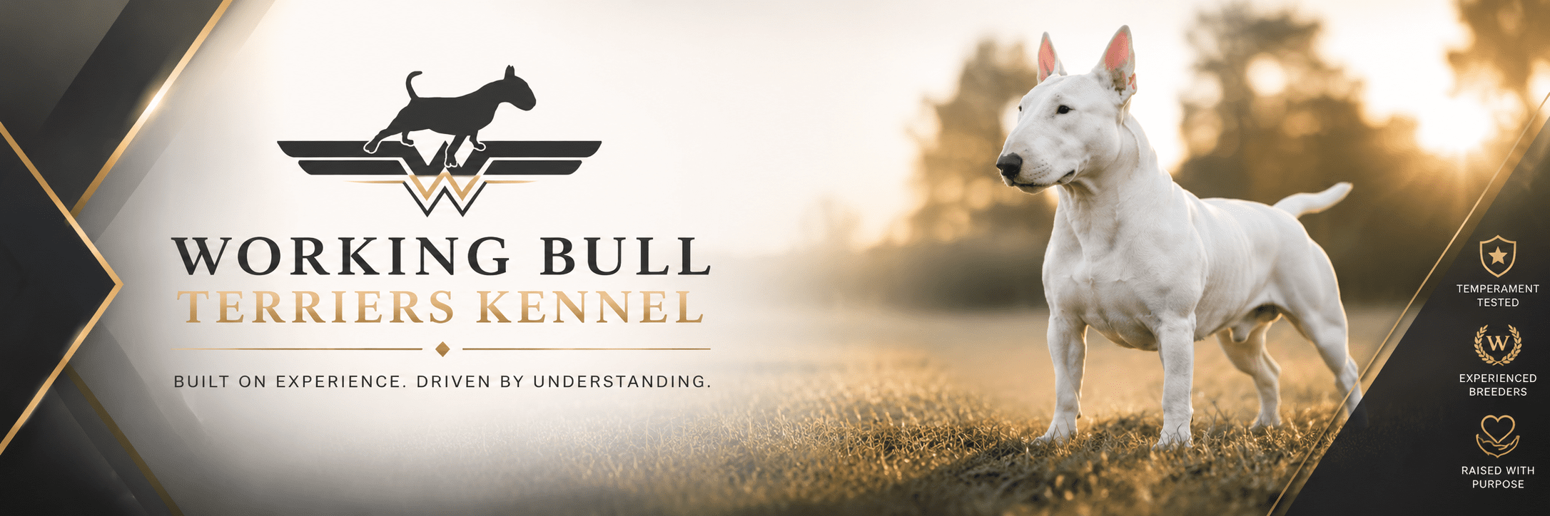 Bull Terrier training and education by Working Bull Terriers Kennel