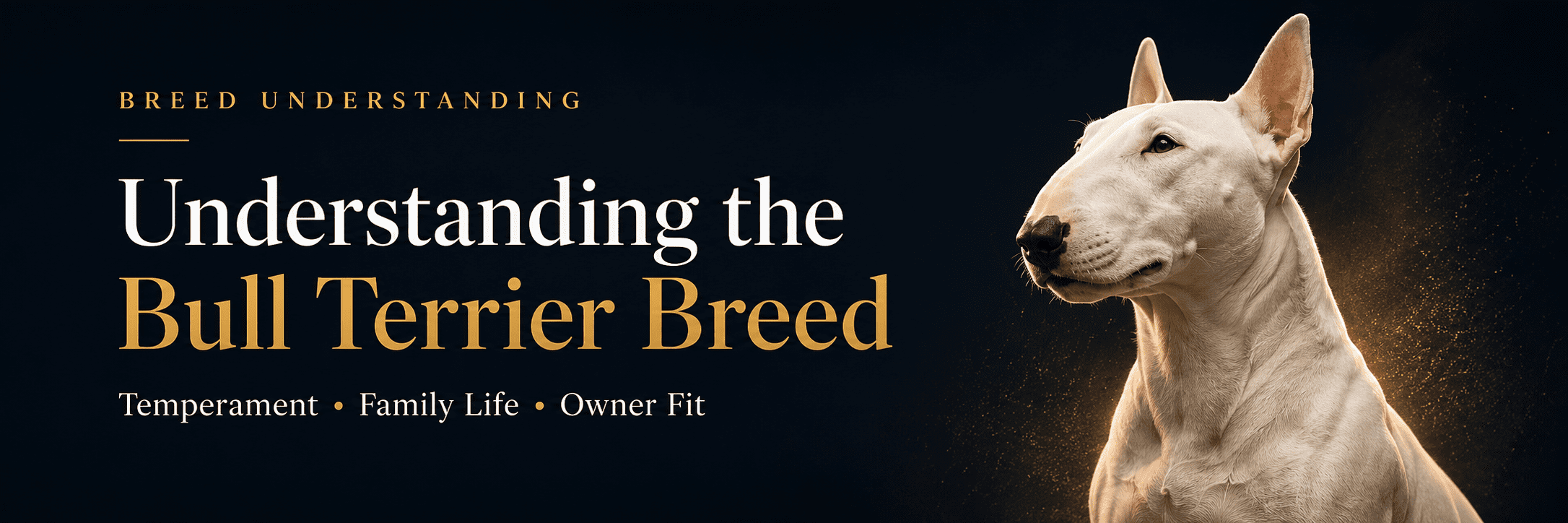 White Bull Terrier in a modern dark banner for Understanding the Bull Terrier Breed, highlighting temperament, family life, and owner fit