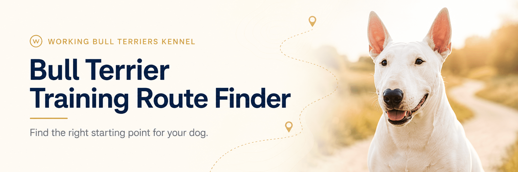 Bull Terrier Training Route Finder showing a happy white Bull Terrier with a visual training path