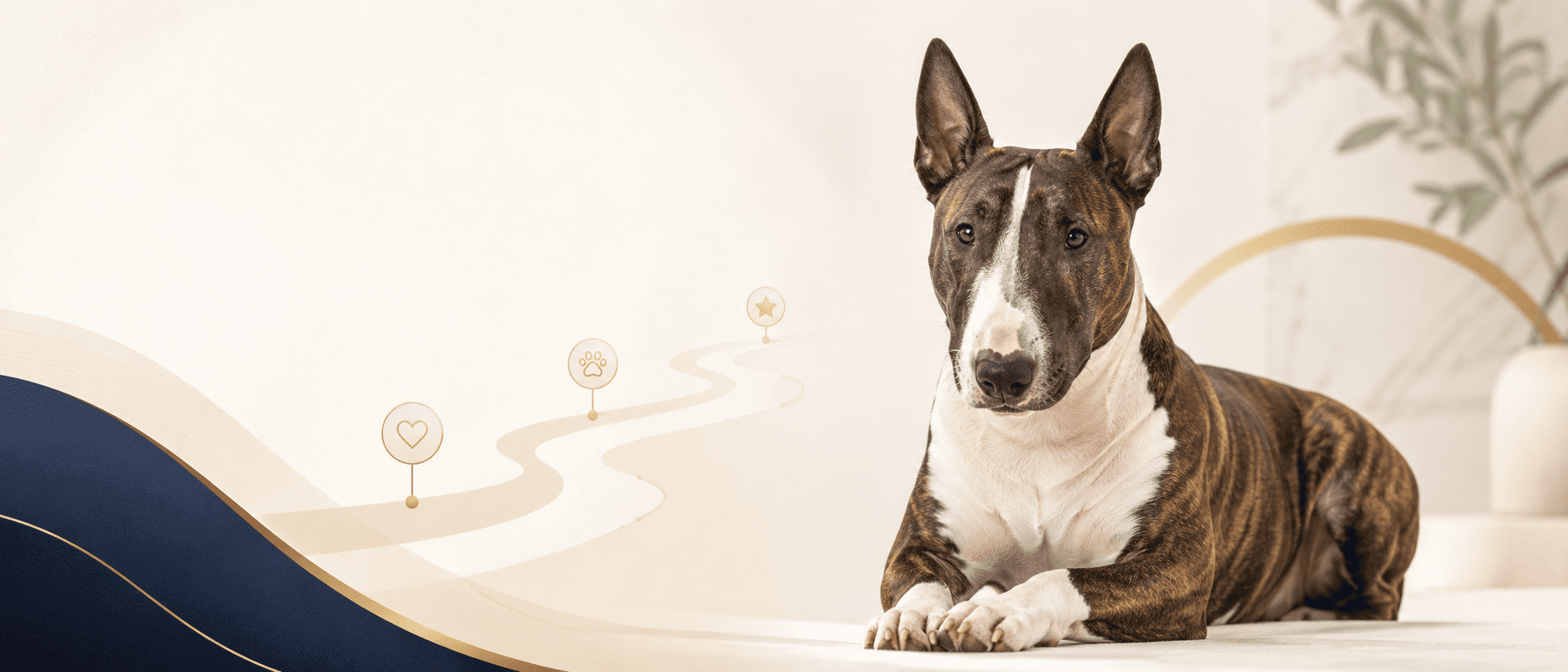 Bull Terrier Online Training decision page banner with a brindle and white Bull Terrier in a clean modern training path design