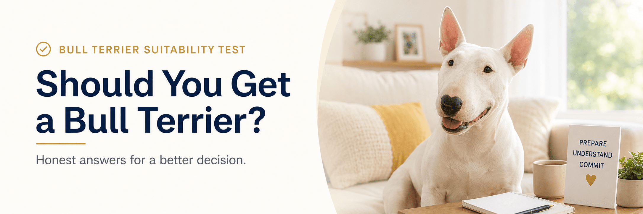 Should You Get a Bull Terrier suitability test banner with a happy white Bull Terrier in a bright home setting