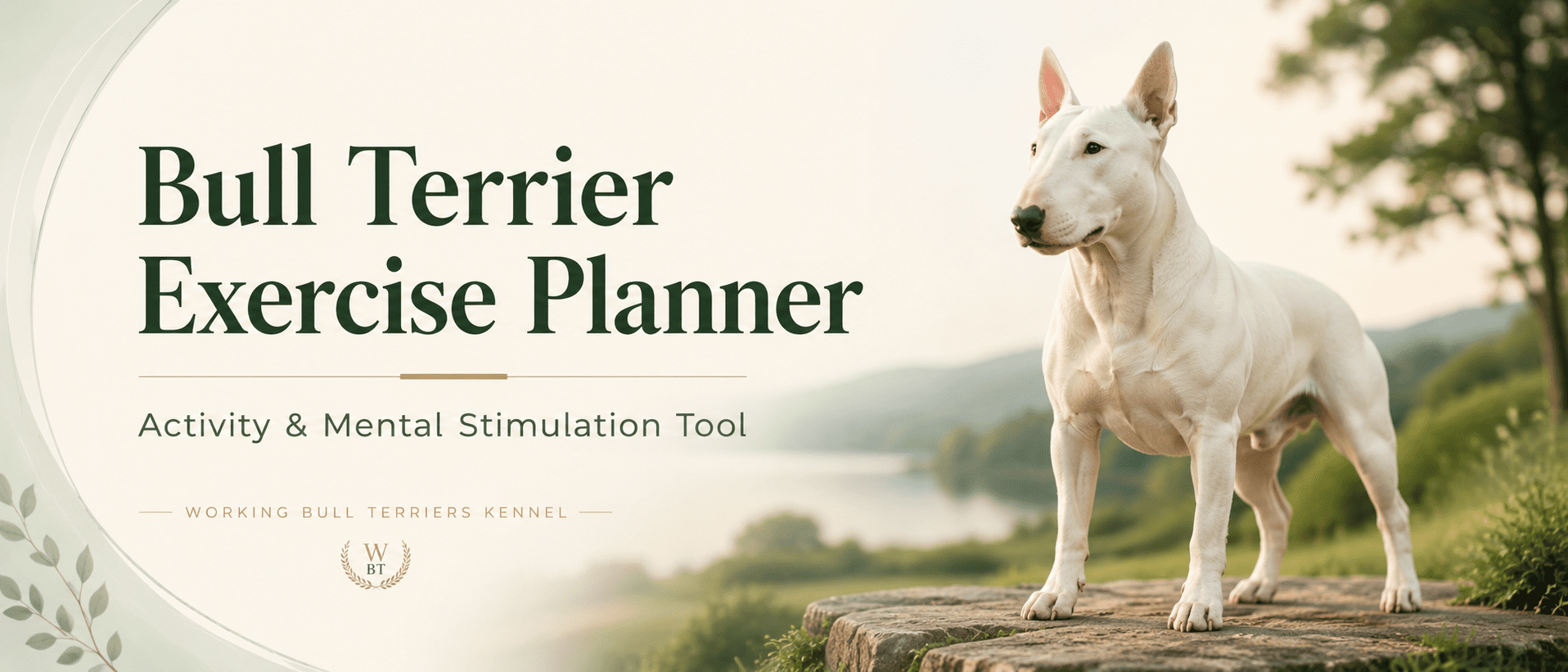 Bull Terrier Exercise Planner banner showing a white Bull Terrier outdoors with activity and mental stimulation theme by Working Bull Terriers Kennel