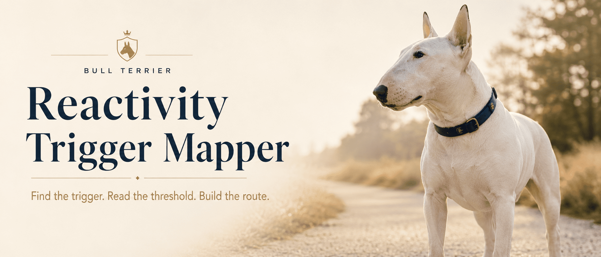 Bull Terrier Reactivity Trigger Mapper banner showing a white Bull Terrier alert on a quiet outdoor path by Working Bull Terriers Kennel