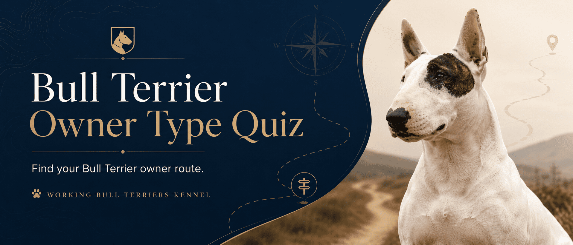 Bull Terrier Owner Type Quiz route finder tool by Working Bull Terriers Kennel