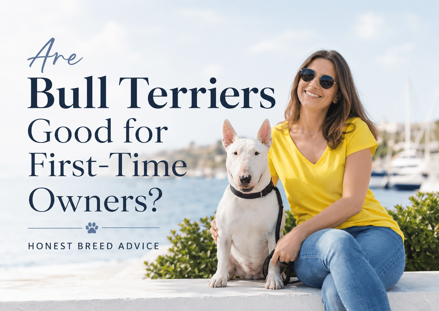 Are Bull Terriers Good for First-Time Owners?