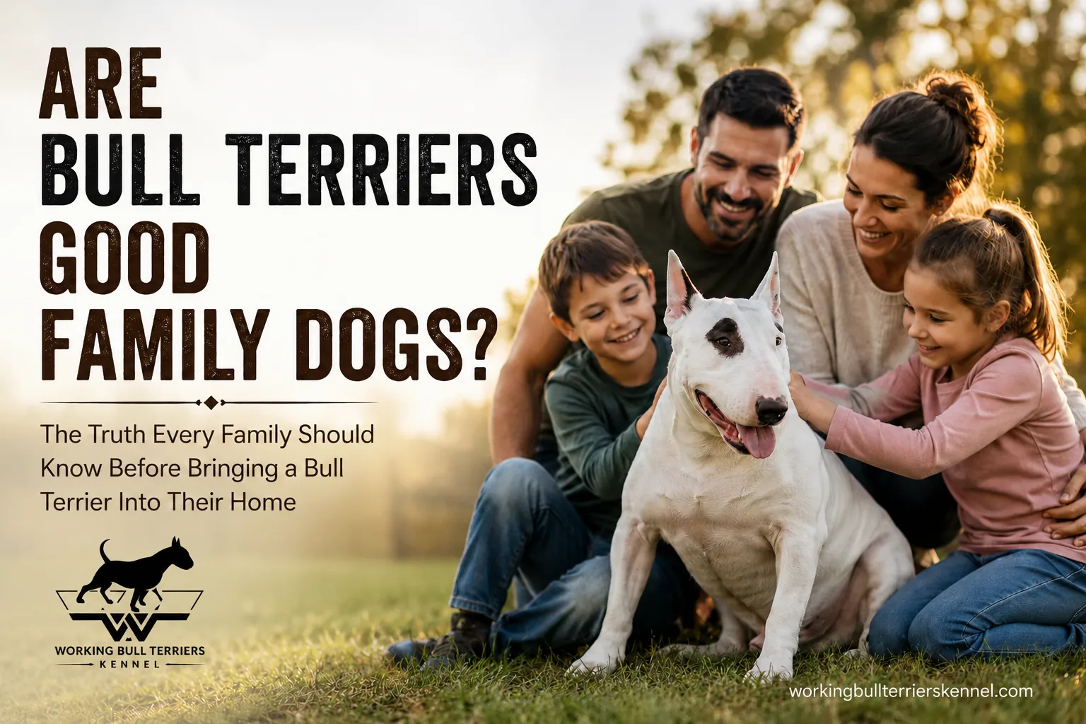 Are Bull Terriers Good Family Dogs?