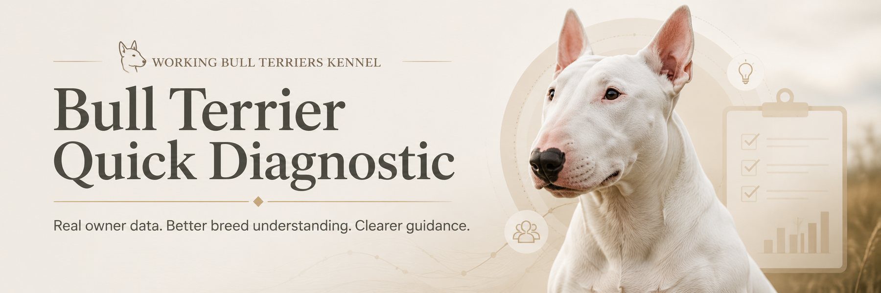 Bull Terrier Quick Diagnostic banner from Working Bull Terriers Kennel showing a white Bull Terrier with data, checklist, and breed guidance elements.